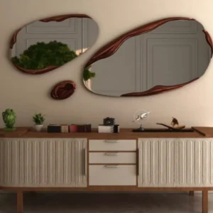 The Morphic Mirror Set